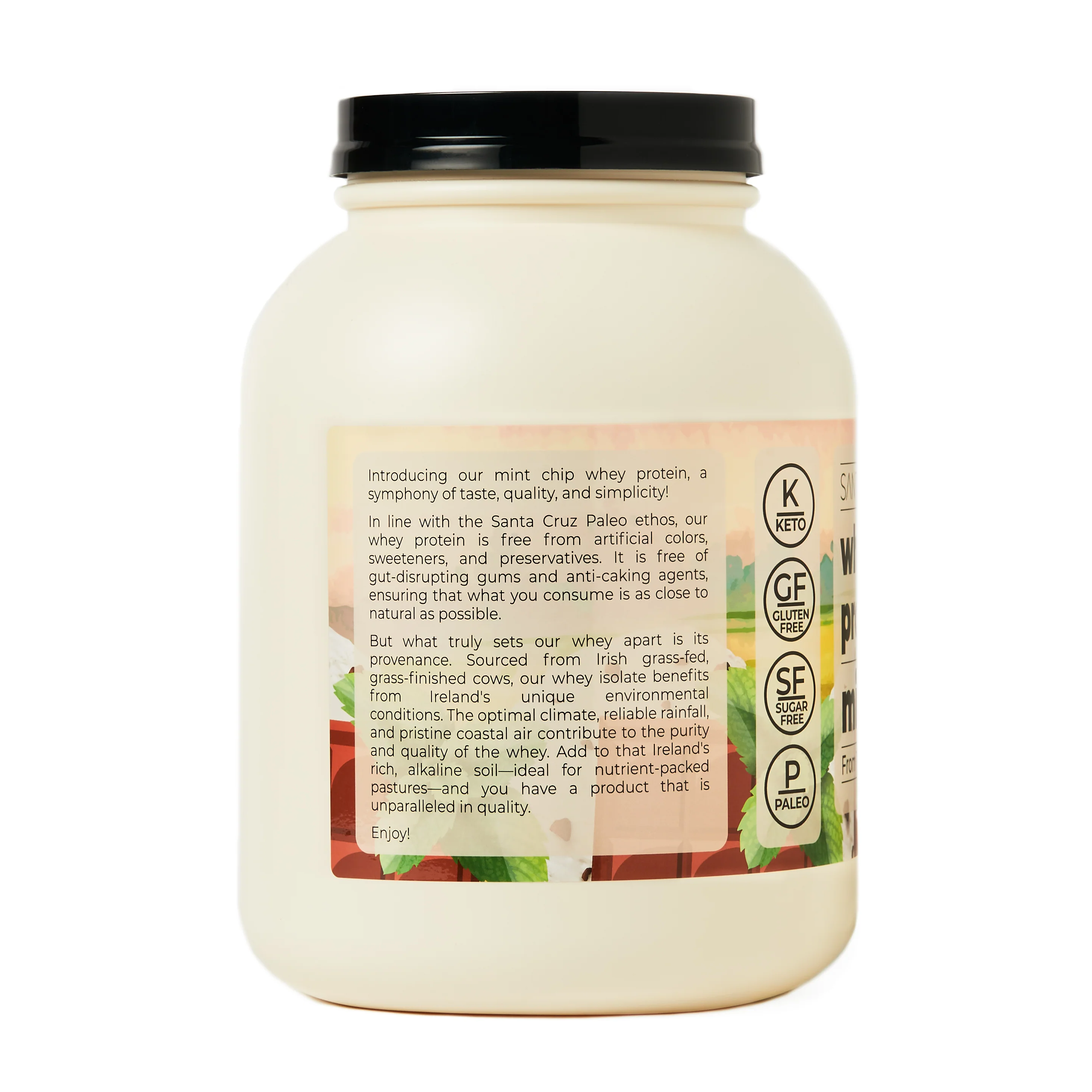 Mint Chip Whey Protein Tub - Image 4